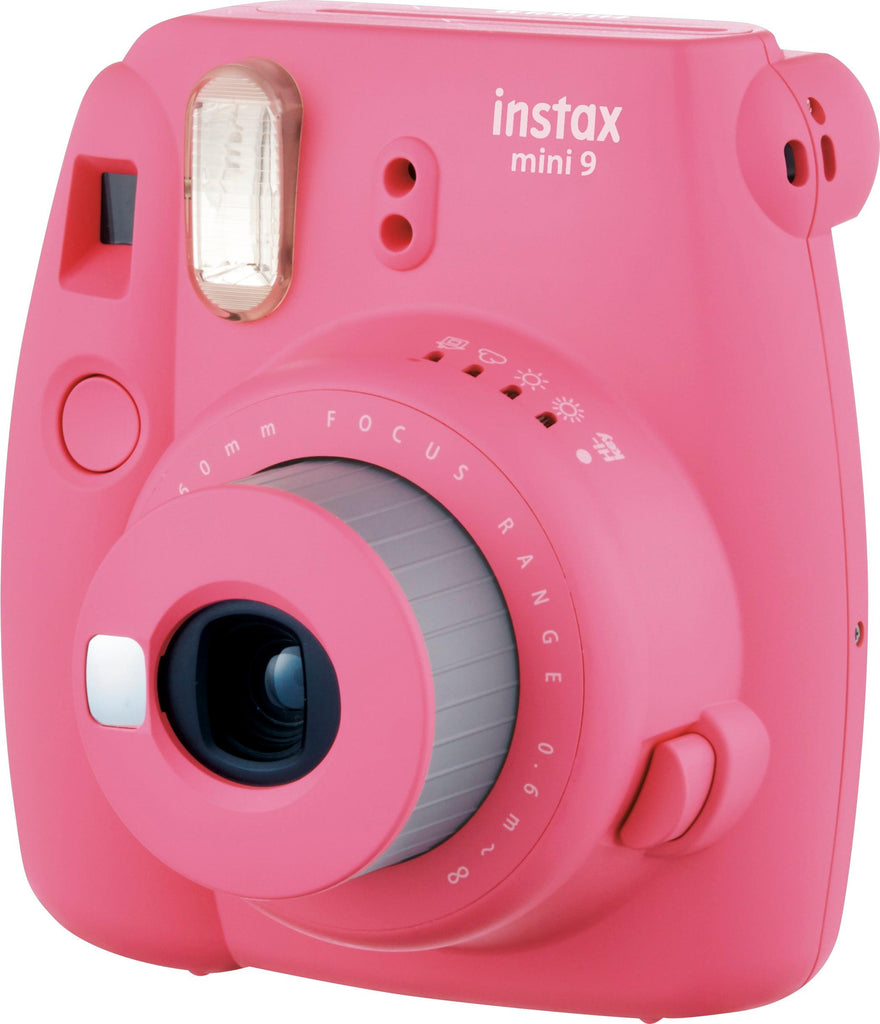 pink flamingo camera