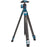 Benro BPI Cyanbird Carbon (TCBC13N00P)